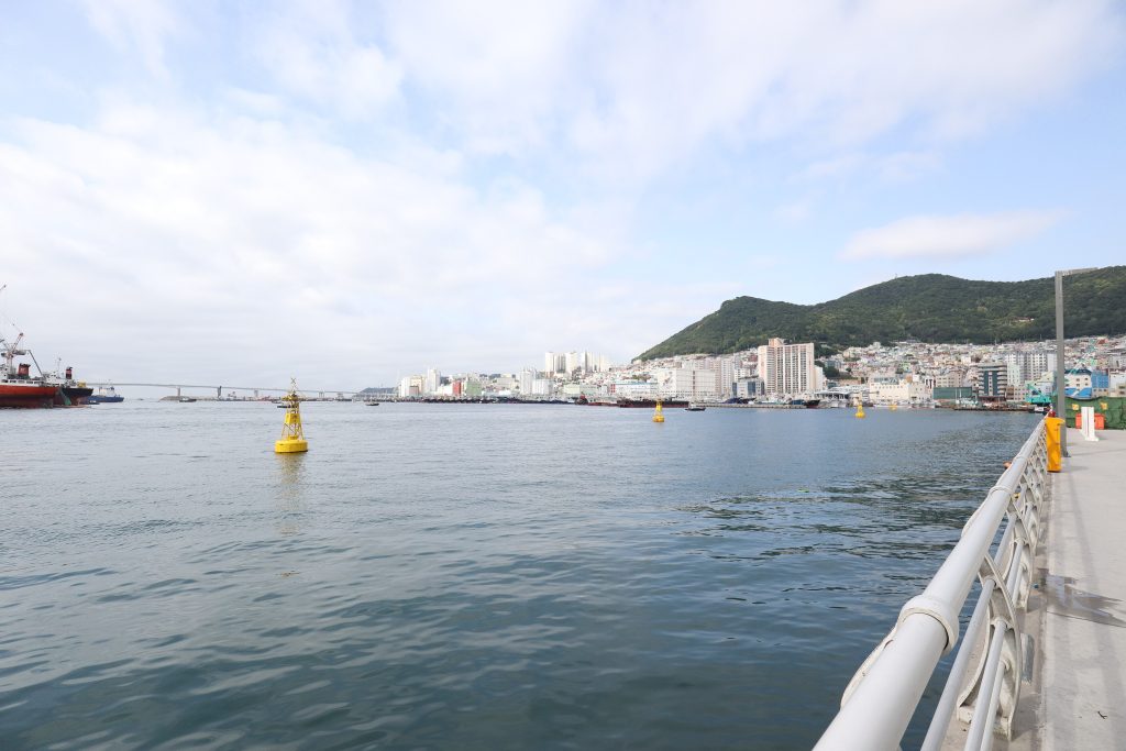 Jagalchi Fish Market in Busan