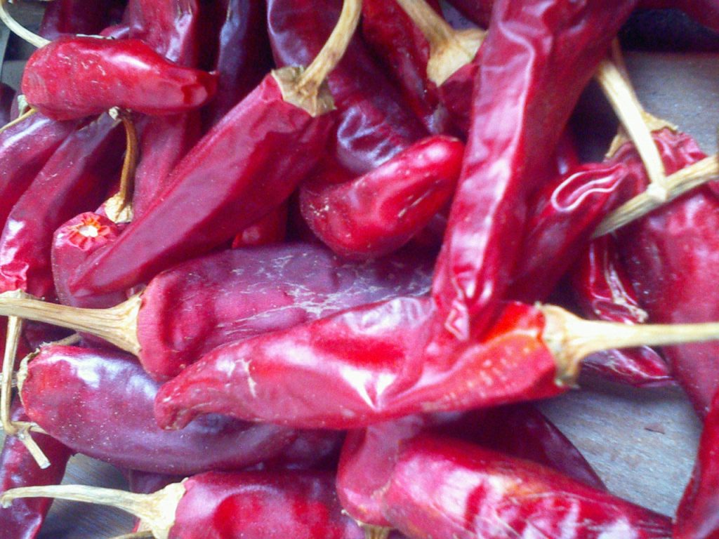 Korean red chili peppers drying for gochugaru